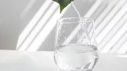 5.6 Glass Daily Review: Float glass market fluctuates|BDD